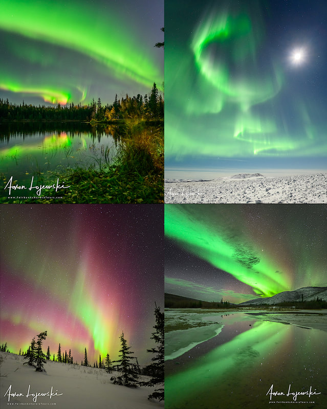 Active aurora near Fairbanks, Alaska. Aurora in Alaska. Fairbanks Aurora Tours. Aaron Lojewksi